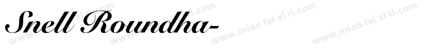 Snell Roundha字体转换